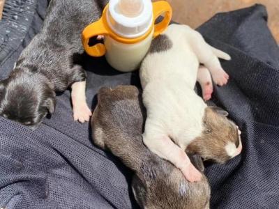 HELP US WITH OUR MONTHLY SHELTER EXPENSES
