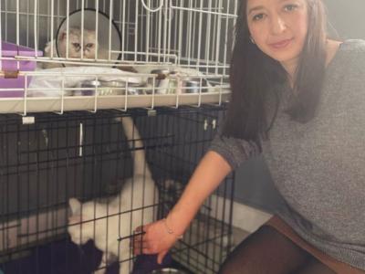 Animal rescue