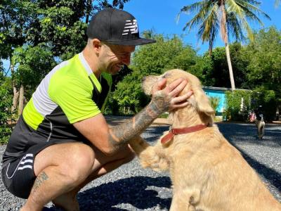 Help Me Save Thailands Street Dogs